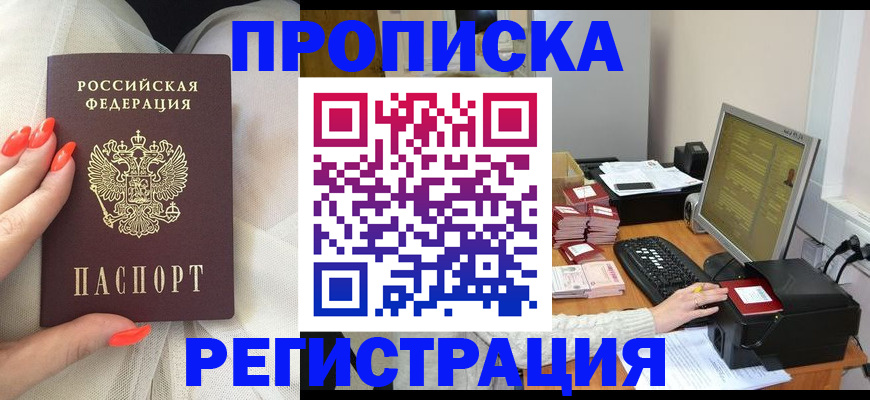 временная регистрация поиск в Новом Осколе